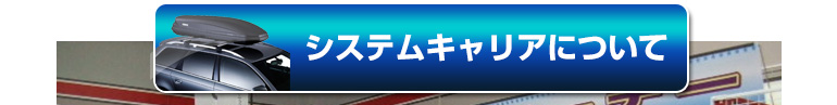 システムキャリアについて