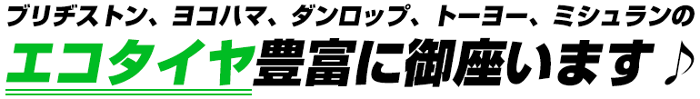 ブリヂストン、ヨコハマ、ダンロップ、トーヨー、ミシュランエコタイヤ豊富に御座います♪